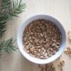 Sachet de grains de blé de la Sainte Barbe - Catho Rétro